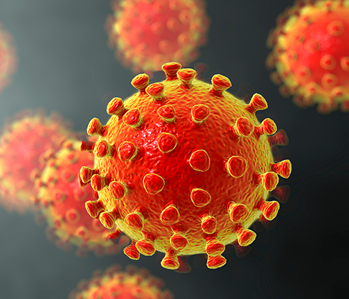 coronavirus